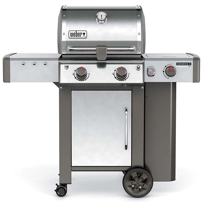 Weber 46110001 Spirit E-210 LP Gas Grill